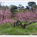 시우리 마을회관 이미지