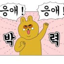 풀떼기 Daum카페