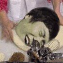 햇님유치원 - 고양시 일산동구 | 햇님유치원