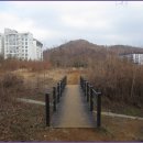올레길 산림형 4코스 이미지