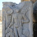 하나로가축병원 이미지