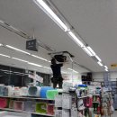 다이소포항우현점 이미지