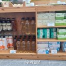 생명살림터