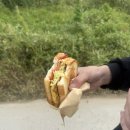 강아지 마을 | 김포 아지네마을 봉사후기 박세미 언니 만난 썰 푼다
