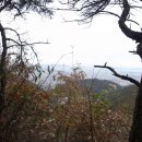 장원초등학교 이미지