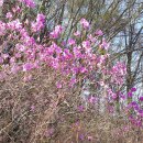 성주동행정복지센터 앞 이미지