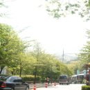 무등산 추어탕 이미지