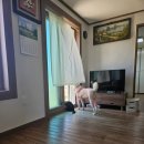 진이네 하우스 이미지