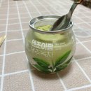 팜젤라또 이미지