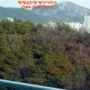 금덩어리공인중개사사무소 이미지