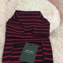 강남애견백화점 이미지