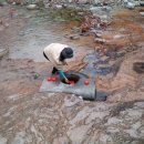 오색로뎀나무아래 이미지