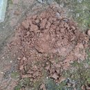 (주)토옥 이미지