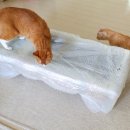 희원식물원 이미지