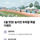 제주 서쪽 이미지