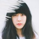 요조 카카오 검색결과