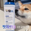 다온바이오 | 강아지 펫메가3 급여 기록, 23년 11월부터 이어온 시간