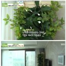 상일바이오 이미지