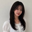 레이어드