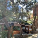 진부령 한증막 이미지