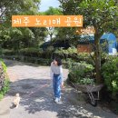 노리매 | 제주 서귀포 강아지와 산책하기 좋은 노리매 공원