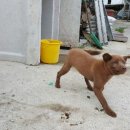 와우한우농장 이미지