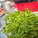수월산방 | [양산] 양산 원동 미나리삼겹살 맛집 수월산방 방문후기