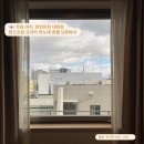 호텔핫 | 가성비 최고 핫스프링 오사카 히노데 호텔 닛폰바시 트윈룸 3박 후기