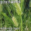 소*만