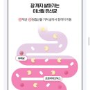 🙋🏻‍♀️가성비 좋은 소버스 이너윌 질 유래 유산균 후기 | 정주리 유산균