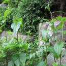 해룡농장 이미지