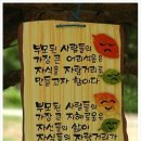 김동일목장 | 남자들의 '슬기로운 부엌 생활' 필살기