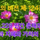 『불교의 비전』 제124강 p.228 인간 존재의 근원과 지혜와 가치의 실천 이미지