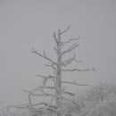 165-2-000008 이미지