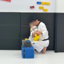 바르다 태권도장 | 제주 아이들이 즐겁게 다닐 수 있는 태권도 [바르다체육센터] 여러가지 재미있는 경험들