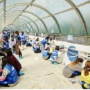 정진학교 이미지