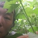 호코농장 이미지