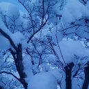 이와서 이미지