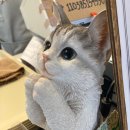 한성대역 6번출구 이미지