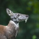 개금진한방병원 이미지