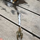 수야급수 네이버블로그