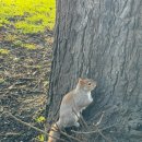 주얼리타운 조형물 | 영국 런던 일주일 여행 기록