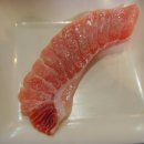 열린참치