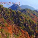 남산 이미지