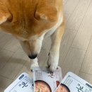 리릭스