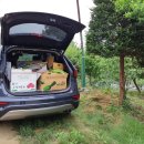 동승당구장 이미지