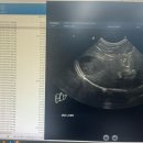 동대문 루시드 동물메디컬센터 이미지