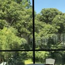 내서읍520 | 마산 대형신상 카페 통창 넘어 숲뷰 마산 내서 카페 추천✨ ‘오도막’