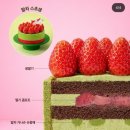투썸플레이스대구두산동DT점 네이버블로그