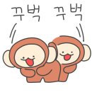 핫독애견백화점 이미지